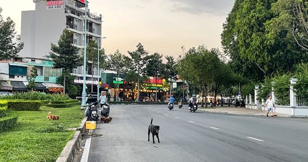 tuoitre.vn