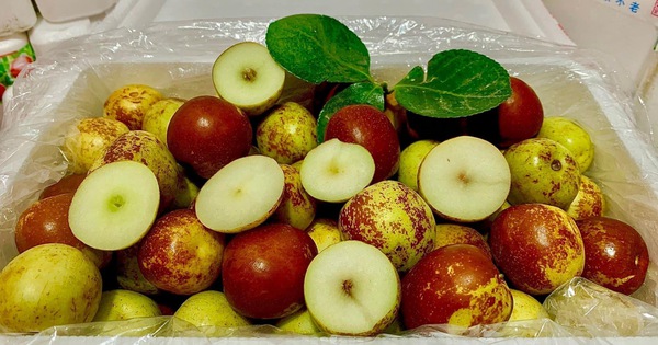 5 lợi ích sức khỏe của quả táo đỏ tươi cho cơ thể bạn