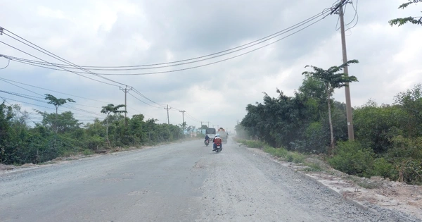 tuoitre.vn