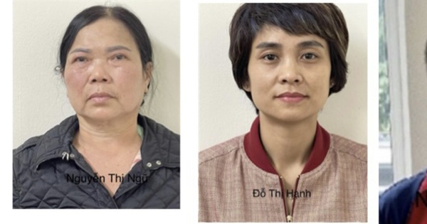 Khởi tố bốn người liên quan vụ án tại Công ty Công viên cây xanh Hà Nội