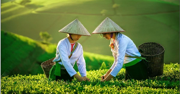 Chiêm ngưỡng sắc màu quê hương qua ống kính nhiếp ảnh nữ
