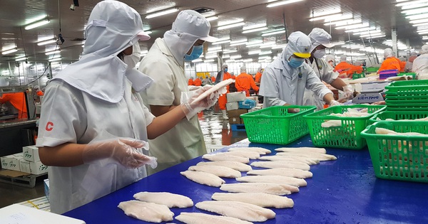水産物の新たな成長ドライバーを見つける