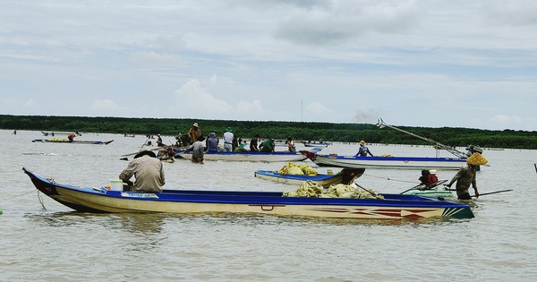 tuoitre.vn