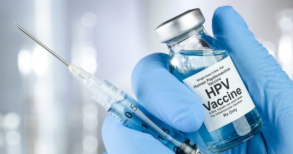 What is the effectiveness of the HPV vaccine in preventing cervical cancer and how does it stimulate the immune system?