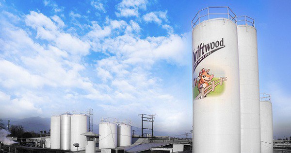 Vinamilk は投資を奨励し、海外市場を開拓しています