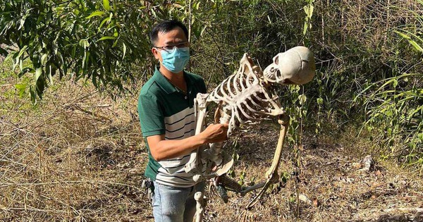 Khi nào đã xảy ra vụ phát hiện bộ xương người trong lùm cây ở huyện Củ Chi, TPHCM?
