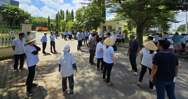 タンタオグループ工業団地、債権回収のため会社の排水管を切断