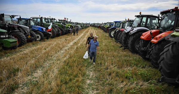 Ukrajina đồng ý xuất khẩu ngũ cốc Sang Slovensko