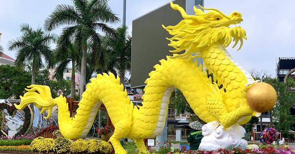 Công nhân canh giữ cặp rồng vàng Quảng Nam giữa rừng hoa Tết - Tuổi Trẻ ...
