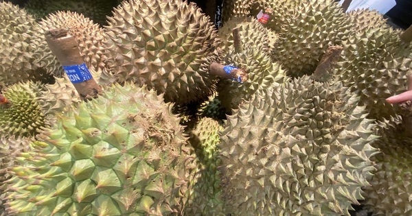 tuoitre.vn