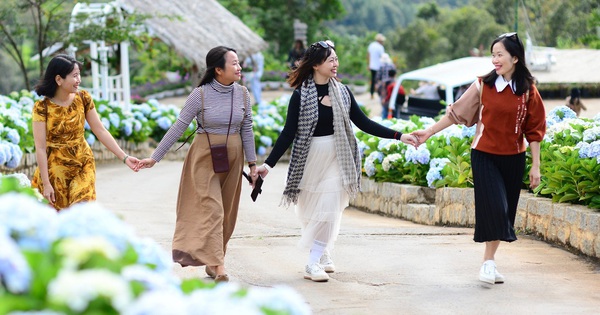 Để kỳ nghỉ ra tấm ra món