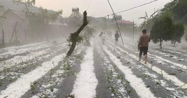 tuoitre.vn