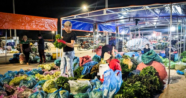 Chợ đêm vừa dời đến nơi mới, bảo kê đã lục tục kéo theo sau