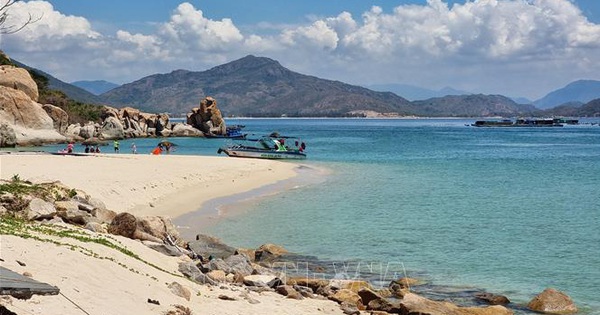 tuoitre.vn