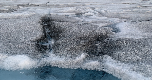 Phát hiện vi rút khổng lồ có thể làm giảm băng tan