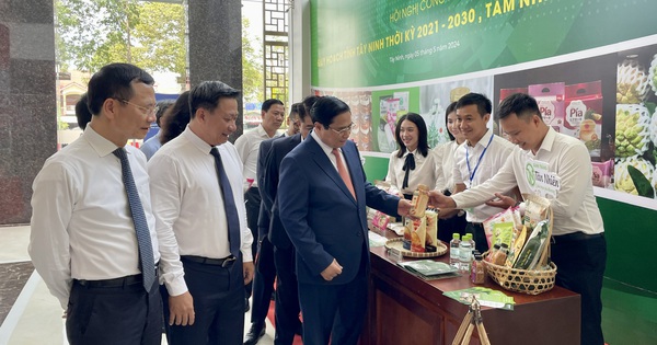 Tây Ninh phát triển trồng lúa ứng dụng công nghệ cao