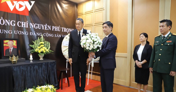 tuoitre.vn