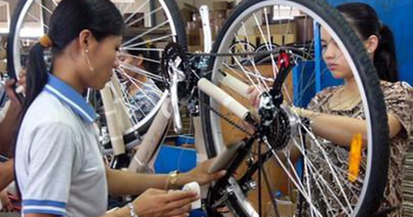 Xe đạp tre xuất khẩu Siêu phẩm của người Việt