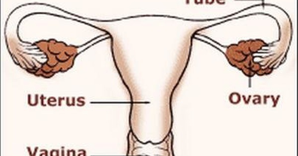 Nguy cơ mắc các bệnh liên quan đến sức khỏe sau khi cắt tử cung và buồng trứng là gì?
