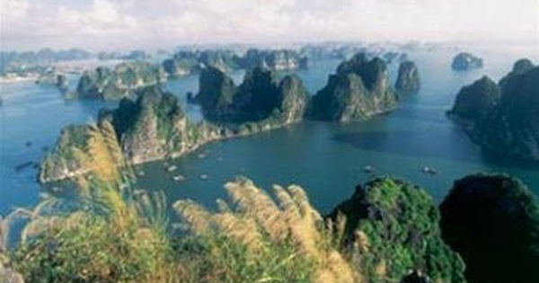 The natural beauty of Ha Long - Tuổi Trẻ Online