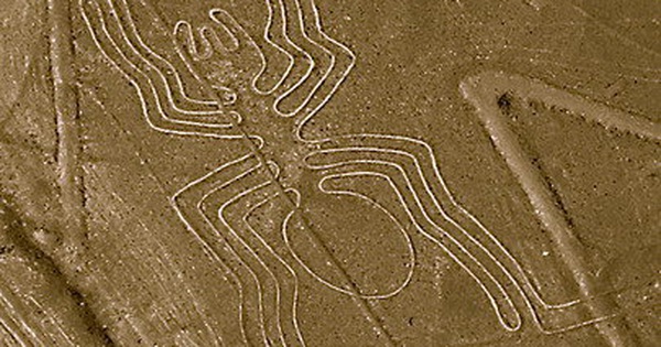 Phát hiện hơn 100 hình động vật được khắc trên đá ở sa mạc Peru  VTVVN