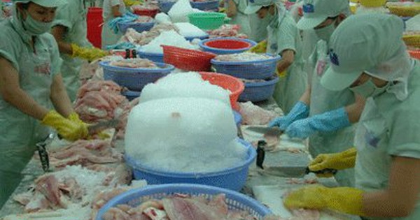 Xin việc phải có giấy khai sinh