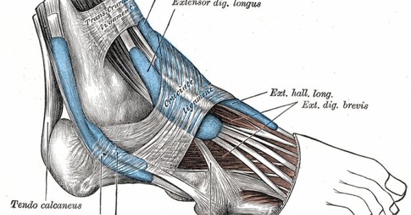Cách phòng ngừa và điều trị gãy xương nền bàn chân số 5 
