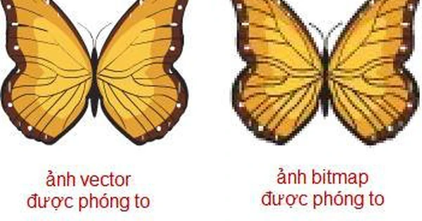 Flash CS4: Tìm hiểu về ảnh dạng Vector và ảnh dạng Bitmap (Raster ...