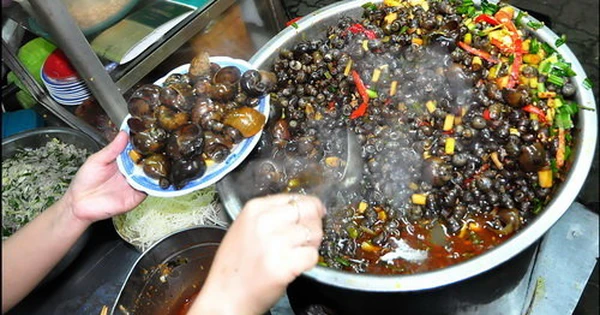 Ốc hút Đà Nẵng