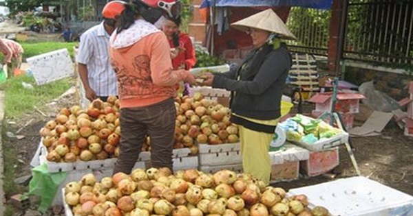 Lựa chọn trái cây - mùa nào thức nấy