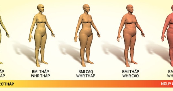 Có quan hệ giữa waist hip ratio và nguy cơ mắc các bệnh liên quan đến quá trình lão hóa không?
