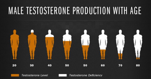Testosterone thúc đẩy phát triển những đặc tính nam tính nào?
