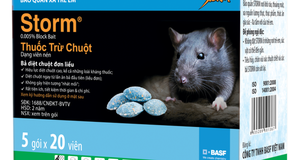 Thuốc chuột hiệu quả nhất có thể mua ở đâu?
