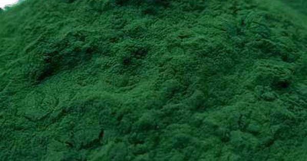 ​Mexico nghiên cứu thành công nhiên liệu sinh học từ tảo xoắn