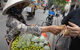 Xác minh vụ người bán hàng rong ở Hà Nội tính bán túi táo nhỏ giá 200.000 đồng cho khách Tây