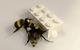 Phát hiện thú vị: Ong 'bắt tay' nhau chơi Lego